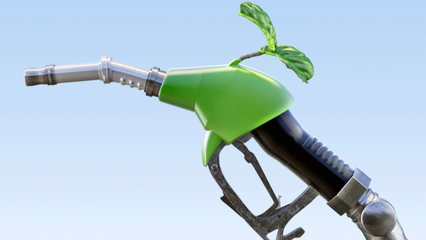 US Oil Refiners Aims at Preceding Canadians in Making Renewable Diesel