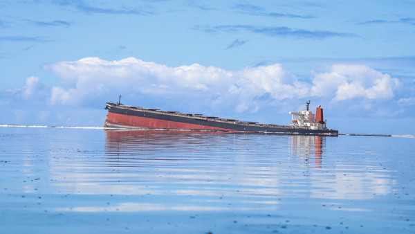 Mauritius Oil Spill: Japanese Tanker Splits in Two On Coral Reef