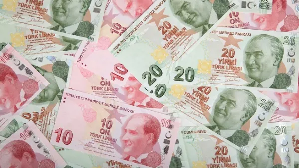 Turkey Raises 2020 Inflation Forecast to 8.9 Percent
