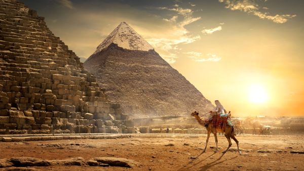 Egypt Seeks Ways to Boost Joint Public, Private Efforts in Development Projects