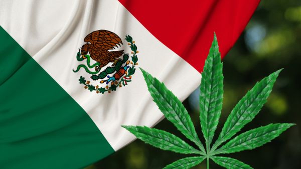 Mexico Legalizes Recreational Use of Marijuana