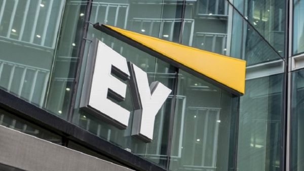 The Collective, the region’s largest independent digital agency, will join the EY MENA Consulting practice EY MENA expands consulting services with addition of The Collective