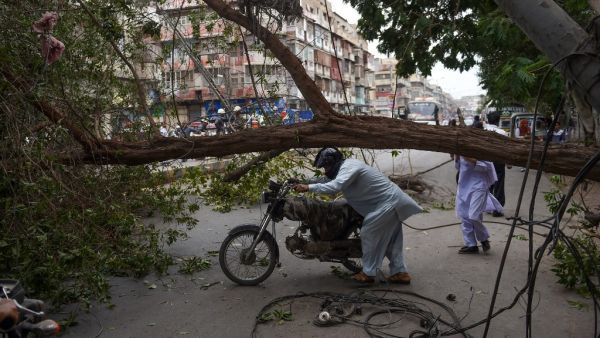 A Pakistani holds his motorbike as he crosses the street under a falling tree following overnight heavy wind storm in Karachi on April 15, 2019.  RIZWAN TABASSUM / AFP