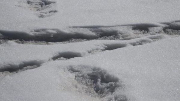 The Indian Army's mountain expedition team tweeted photos of what it called "mysterious footprints." (Photo courtesy the Indian Army/Twitter)