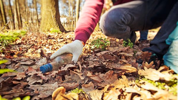 (Shutterstock/ File Photo)