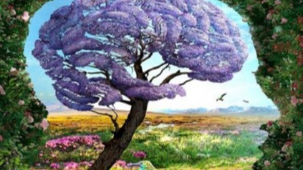 اختبار شخصية