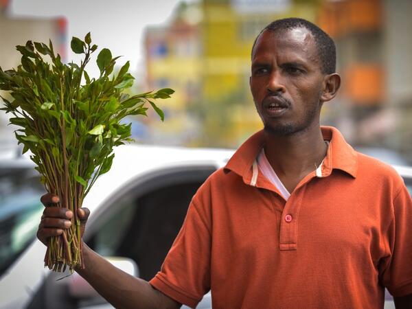A vendor holds up a handful of khat twigs as he calls for buyers at a road side in an area known as 'Little Mogadishu' in Addis Ababa on July 23, 2019. In Ethiopia, a rehab centre takes on khat addiction, AFP reports on August 28, 2019. MICHAEL TEWELDE / AFP