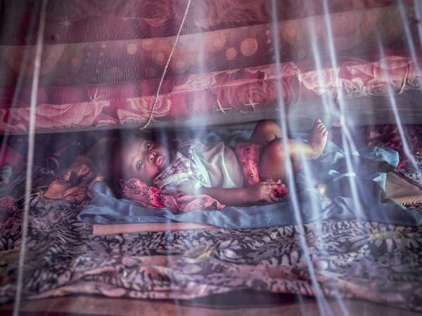 A displaced baby, who was forced to leave his house with his family due to heavy rains and floods in the area, rests under a mosquito net at a displacement camp for families affected by floods located in Beledweyne, Somalia, on December 14, 2019. The rains have inundated big areas surrounding Beledweyne area forcing thousands of people to leave their houses and look for humanitarian assistance while living in displacement camps. Due to climate change and human activities, floods have become more recurrent a