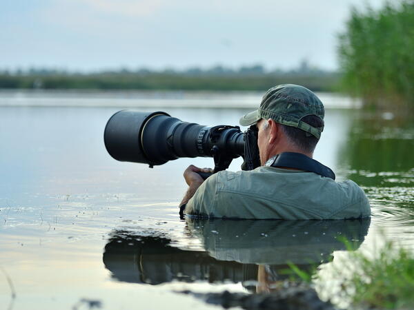 الصور الفائزة بمسابقة أفضل صورة للحياة البرية للعام 2020