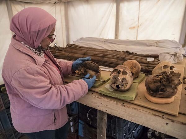 An archaeologist displays unearthed human skulls ahead of the official announcement of the discovery by an Egyptian archaeological mission of a new trove of treasures at Egypt's Saqqara necropolis south of Cairo, on January 17, 2021. The discovery at the necropolis which lies 30kms south of the Egyptian capital, includes the funerary temple of Queen Naert, wife of King Teti, as well as burial shafts, coffins, and mummies dating back to nearly 3000 years ago during the New Kingdom. Khaled DESOUKI / AFP