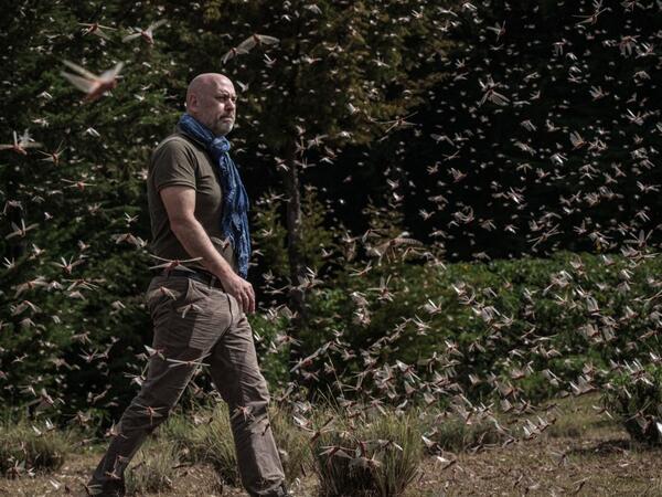 A picuture taken on February 9, 2021,shows Cyril Ferrand, the United Nations Food and Agricultural Organisation (FAO) Resilience Team Leader for eastern Africa, walking in a swarm of desert locust in Meru, Kenya. Yasuyoshi CHIBA / AFP