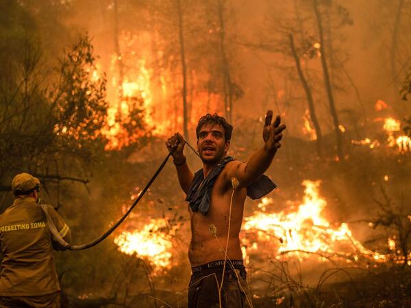 نيران لم يسلم منها بشر ولا حجر ولا حيوان.. ماذا يحدث في الجزائر؟