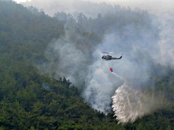 Batramaz forest fire 
