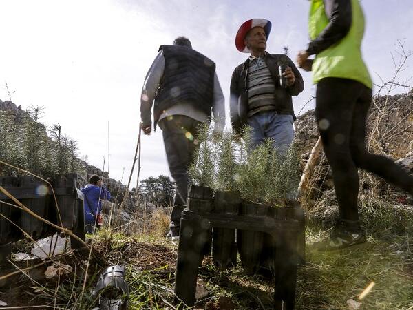 Activists from Lebanese NGO Jouzour Loubnan ("Roots of Lebanon") gather to plant young cedars on the slopes of the Jaj Cedar Reserve Forest in the Lebanon mountains, northeast of the capital Beirut in a joint initiative in partnernship with the Lebanese Army to mark the 75th anniversary of the country's independence. 
JOSEPH EID / AFP