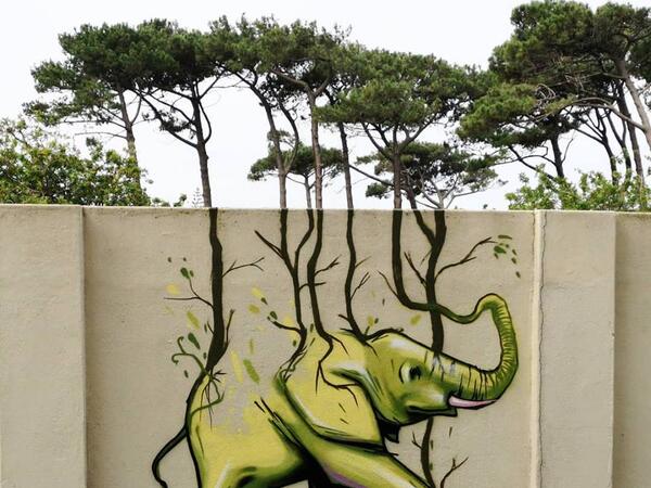 (Facebook/ Falko One)