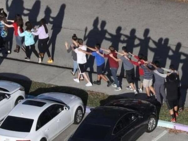 قوانين امتلاك الأسلحة النارية