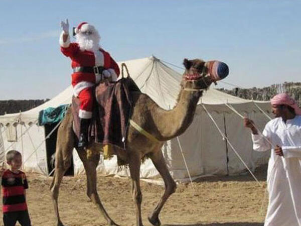 ما الذي جري في السعودية خلال 2017