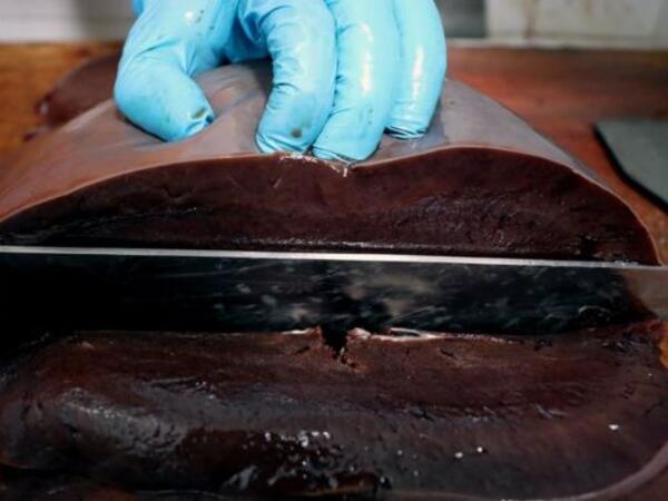 مطعم دكتور كبدة