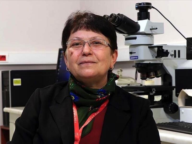Turkey: Female Scientist Helps in Producing Country's First National Helicopter Engine