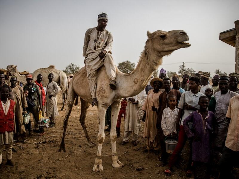 A Hausa-Fulani man rides a camel at Illiea Cattle Market, Sokoto State, Nigeria, on April 21, 2019. Illiea is the last Nigerian town before Niger's border and the cattle market is one of the largest of West Africa receiving pastoralist nomads from several countries in the region. Luis TATO / AFP