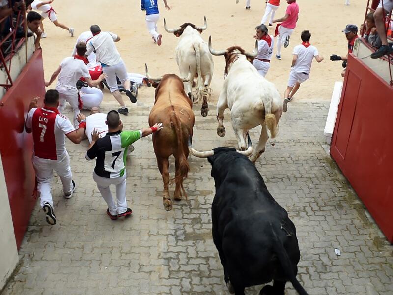 A runner falls next to Puerto de San Lorenzo fighting bulls during the first bull-run of the San Fermin festival in Pamplona, northern Spain on July 7, 2019. JAIME REINA / AFP