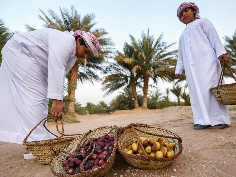 The Liwa Date Festival aims to preserve Emirati heritage, specifically palm trees and half-ripe dates, knows as "ratab", which are deep-rooted in the Gulf country's traditions. Karim SAHIB / AFP