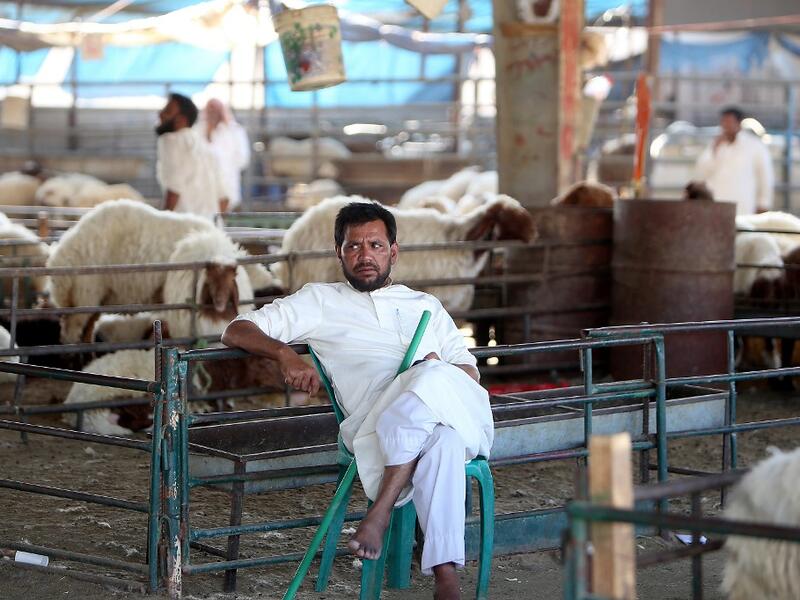 A vendor waits for customers at a livestock market in Kuwait City on August 5, 2019, ahead of the Muslim holiday of Eid al-Adha or the "Feast of Sacrifice" which marks the end of the annual pilgrimage or Hajj to the Saudi holy city of Mecca and is celebrated in remembrance of Abraham's readiness to sacrifice his son to God. Yasser Al-Zayyat / AFP