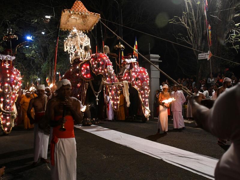 In this photograph taken on August 14, 2019 participants lead elephants decorated for the "Esala Perahera" festival during a parade near the Buddhist temple of the Tooth in the ancient hill capital of Kandy, some 116 km from Colombo. Lakruwan WANNIARACHCHI / AFP