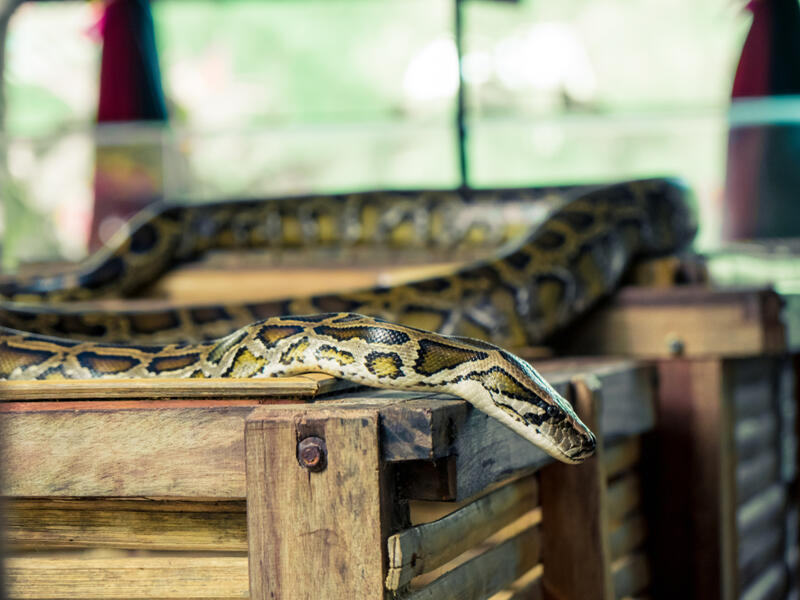 (Shutterstock/ File Photo)