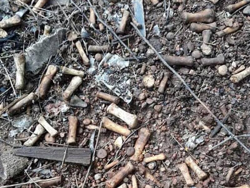 A missing persons search team found more than 2,000 human bone fragments last week in the northwestern Mexican city of Culiacán. (Facebook)