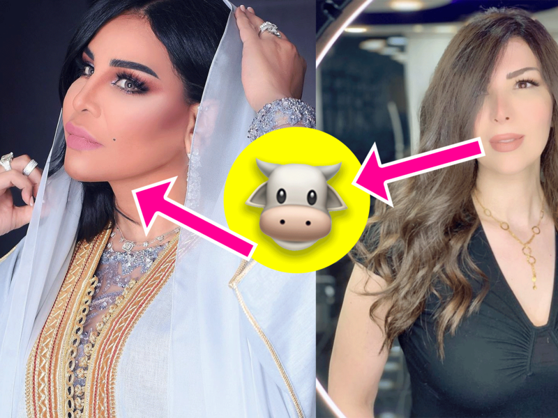 Syrian actress Abeer Shams Al Deen attacked Emarati songstress Ahlam