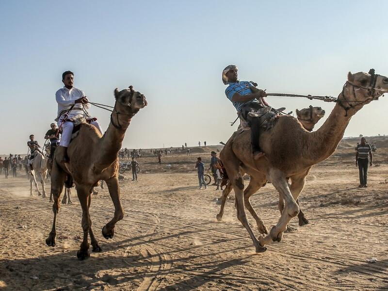 Palestinian jockeys compete during a local camel race held at the destroyed Gaza airport, in Rafah in the southern Gaza Strip on October 20, 2019. SAID KHATIB / AFP