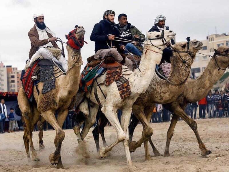 Palestinian jockeys compete during a local camel race held at the destroyed Gaza airport (Twitter)