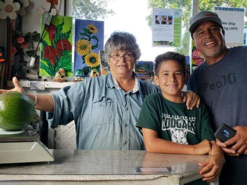 A Hawaii family's 5.6-pound avocado has been certified as the world's heaviest by Guinness World Records. (Photo courtesy of Guinness World Records)