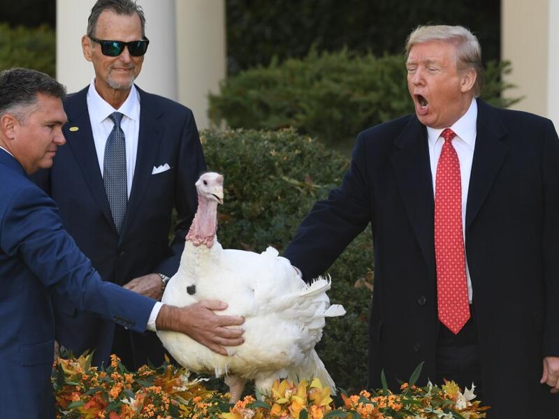 US President Donald Trump pardons the National Thanksgiving Turkey during a ceremony in the Rose Garden of the White House in Washington, DC on November 26, 2019. SAUL LOEB / AFP