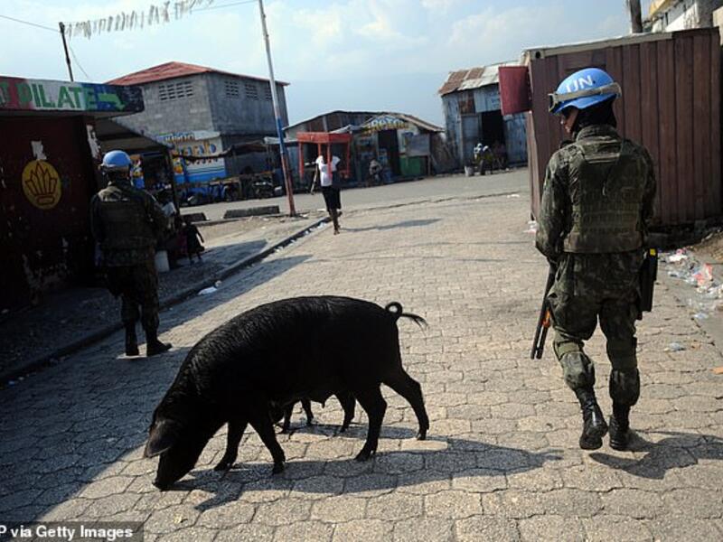 A soldier of the MINUSTAH (United Nations Stabilization Mission in Haiti) peacekeeping contingent walking past a pig while patrolling in the Cite Soleil slum of Port-au-Prince in 2014. (AFP/ File Photo)