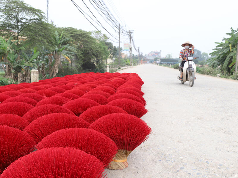Vietnamese workers collect dried incense sticks in Quang Phu Cau village on the outskirts of Hanoi on January 9, 2020 ahead of the upcoming Lunar New Year celebrations, referred to in Vietnam as Tet (Shutterstock)