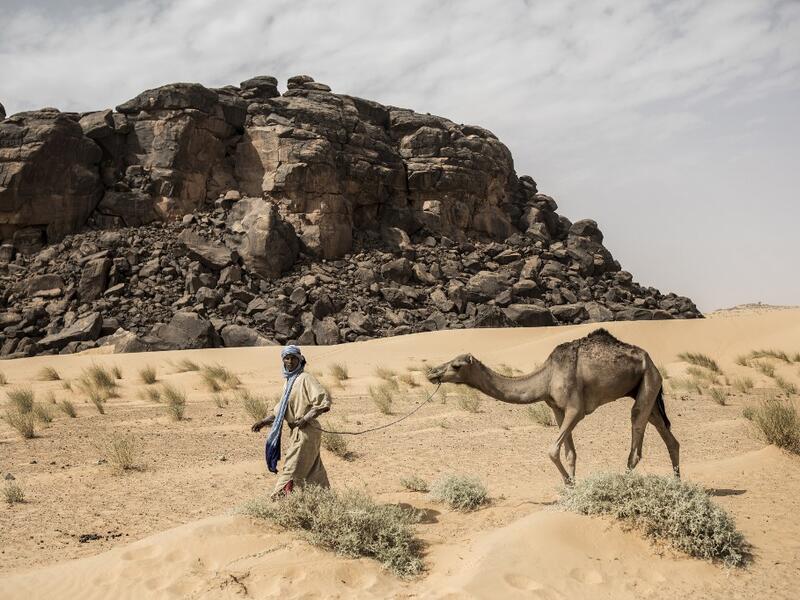 Ahmed(20), from the small Nemadi(hunters) tribe in Eastern Mauritania, is seen leading a camel along the caravan route from Tichitt to Aratane in Mauritania on January 25, 2020. In the arid West African country of Mauritania, the way of life of the traditional group of hunters known as the Nemadi is slowly disappearing. JOHN WESSELS / AFP
