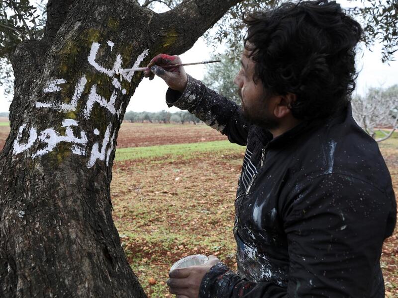 A Syrian man writes in white paint on the trunk of a tree the Arabic slogan "we will not abandon the olives", near the frontline between Syrian government forces and Turkish-backed opposition fighters in the town of Sarmin in the northern Syrian Idlib province on February 4, 2020. Omar HAJ KADOUR / AFP