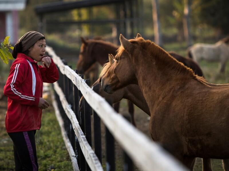 In this photograph taken on January 6, 2020, polo player Shanglenmayum Sangeet feeds Manipuri ponies at the Thangmeiband Polo Ground in Imphal, the capital of the northeastern Indian state of Manipur. Laishram Thadoi's face is a picture of concentration as she adjusts her helmet and prepares to play in Manipur, the remote Indian state regarded as the birthplace of modern polo. Xavier GALIANA / AFP