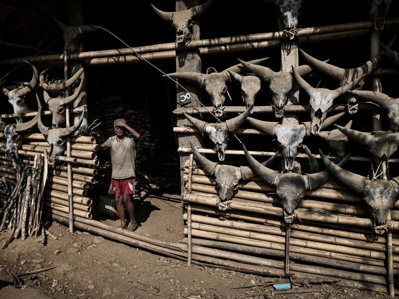 This photo taken on February 5, 2020 shows a Naga tribesman standing in front of his house decorated with skeletons of buffalo heads in Lahel township in Sagaing region of Myanmar, wedged in a semi-autonomous zone near the Indian border. People in the region subscribe to a complex patchwork of customs, intertwining their animist beliefs with warrior traditions that include striking tattoo designs, which can signify tribal identity, life accomplishments or the completion of a rite of passage. Ye Aung THU / A