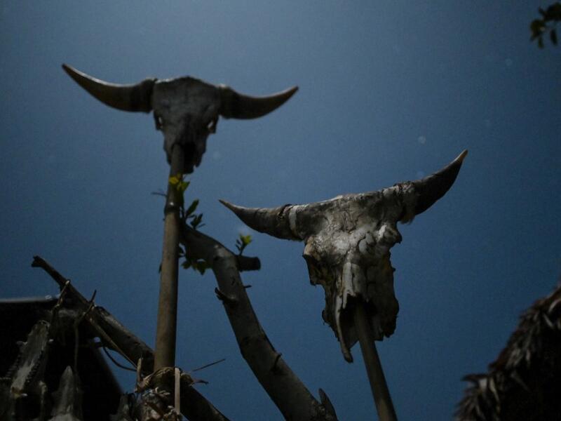 This photo taken on February 5, 2020 shows animal skulls displayed outside a house of a Naga tribesman at a village in Sagaing region of Myanmar, wedged in a semi-autonomous zone near the Indian border. People in the region subscribe to a complex patchwork of customs, intertwining their animist beliefs with warrior traditions that include striking tattoo designs, which can signify tribal identity, life accomplishments or the completion of a rite of passage. Ye Aung THU / AFP