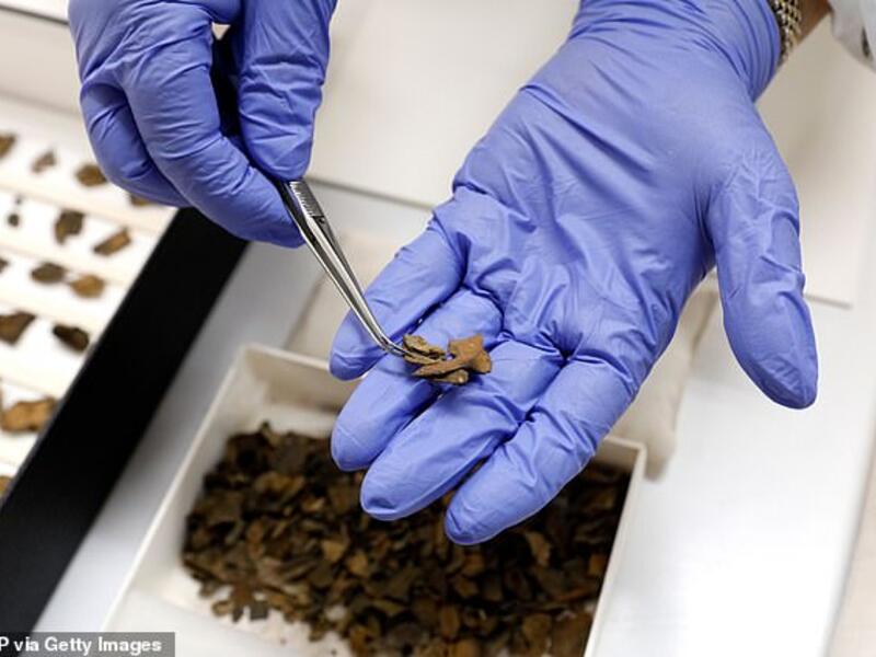Real pieces of Dead Sea Scrolls like the one pictured had a number of discrepancies compared to the faked counterparts, including the materials on which they were inscribed (stock). (AFP/File)