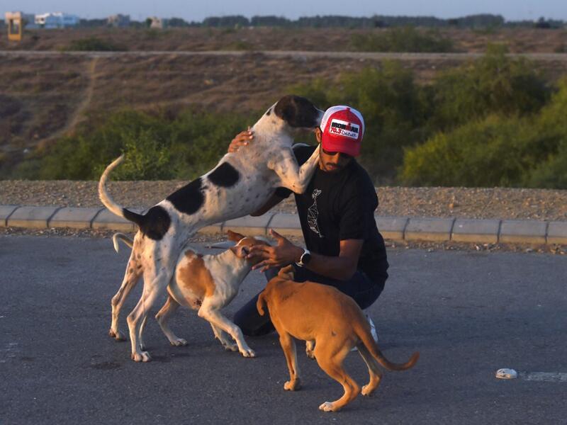This photo taken on April 2, 2020 shows resident Ali Khurshid playing with stray dogs before feeding them on a street near Clifton beach during a government-imposed nationwide lockdown as a preventive measure against the COVID-19 coronavirus, in Karachi. Asif HASSAN / AFP