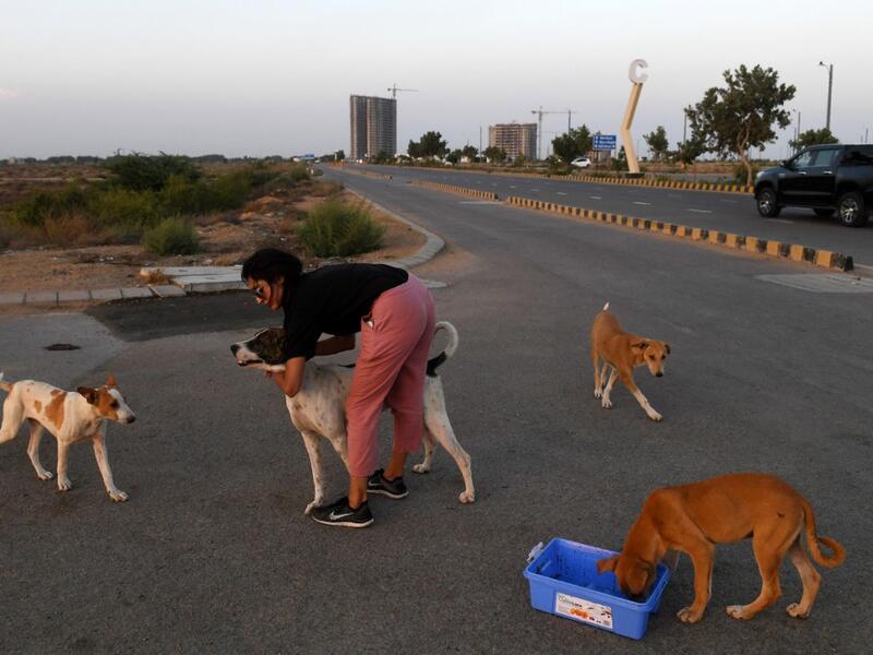 This photo taken on April 2, 2020 shows resident Noor Ali feeding stray dogs on a street near Clifton beach during a government-imposed nationwide lockdown as a preventive measure against the COVID-19 coronavirus, in Karachi. Asif HASSAN / AFP
