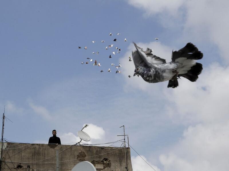 A pigeon owner, wearing personal protective equipment, watches his pigeons fly on the rooftop of his building in the southern suburb of Beirut on April 11, 2020. ANWAR AMRO / AFP