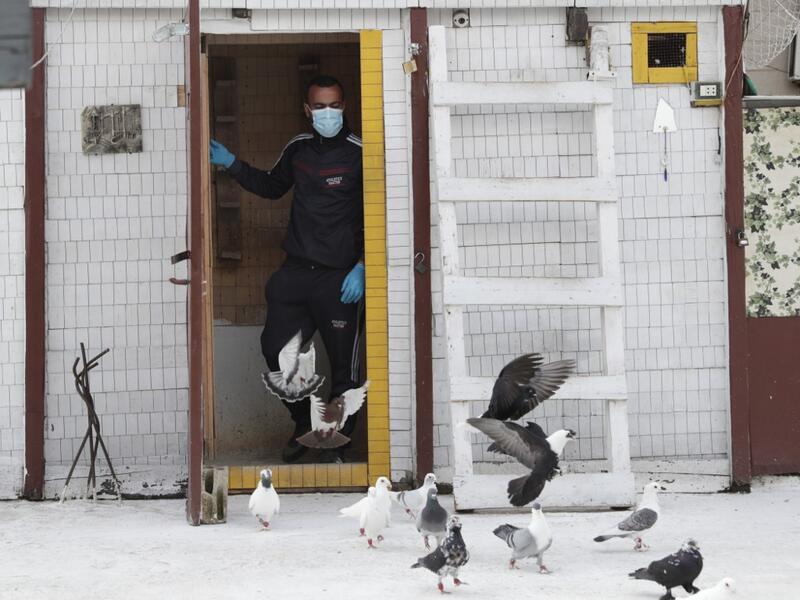 A pigeon owner, wearing personal protective equipment, lets his pigeons out of their cage on the rooftop of his building in the southern suburb of Beirut on April 11, 2020. ANWAR AMRO / AFP