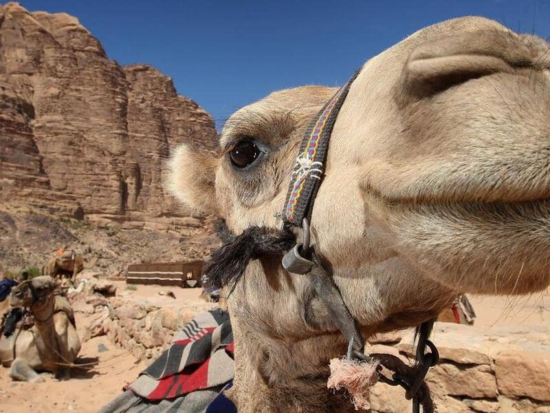 تعبيرية