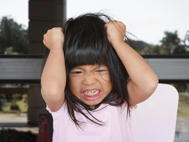 (Shutterstock)