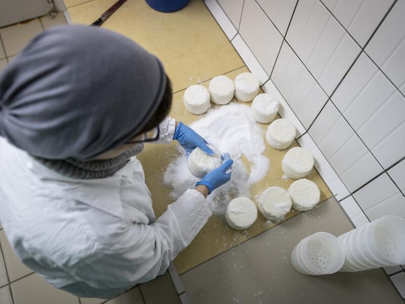 Izabela Ciesielska - covers goat cheese with salt on the "Nad Arem" farm in the Masuria - polish lake region, May 15, 2020. The sheep and cows are in the meadow, the cheese is ripening in a room on the ground floor -- just the kind of scene attracting increasing numbers of Polish cityslickers away from the urban jungle. Wojtek RADWANSKI / AFP